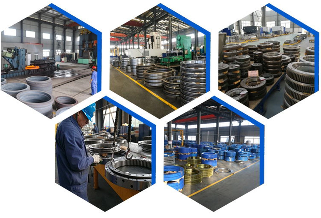 Crane Slewing Ring Bearings for Cantilever Conveyor, Turntable Bearing